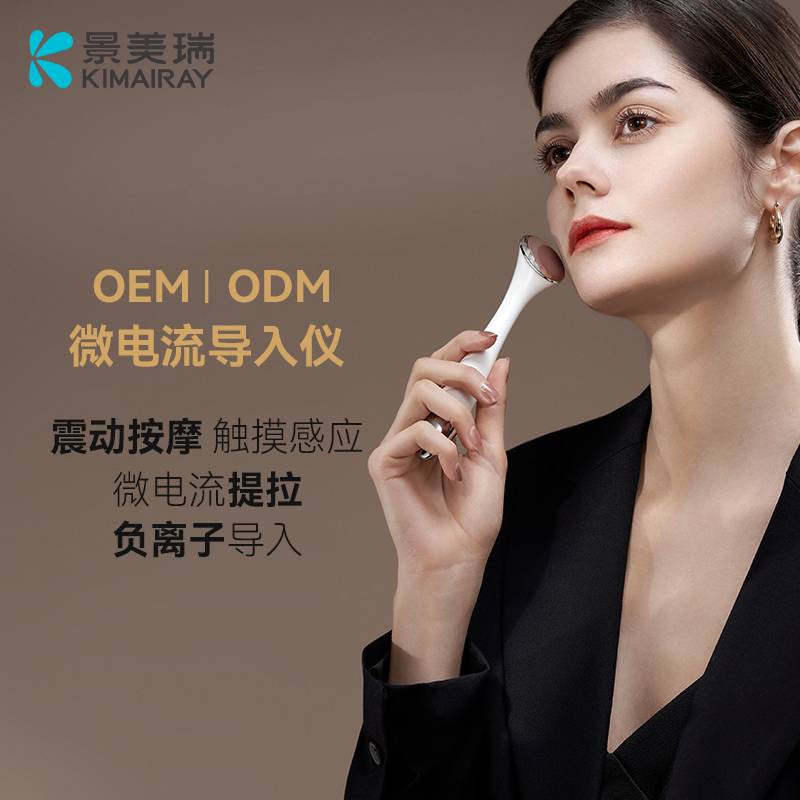 离子导入仪